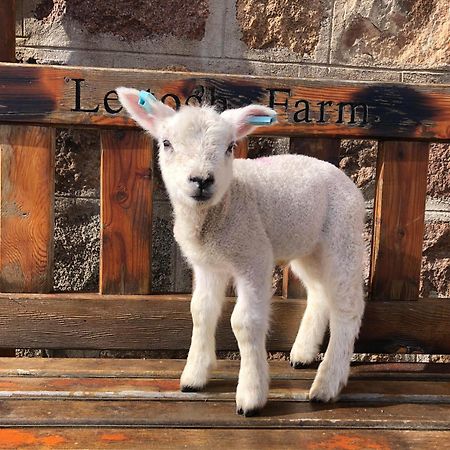 Lettoch Farm Bed & Breakfast ดัฟฟ์ทาวน์ ภายนอก รูปภาพ
