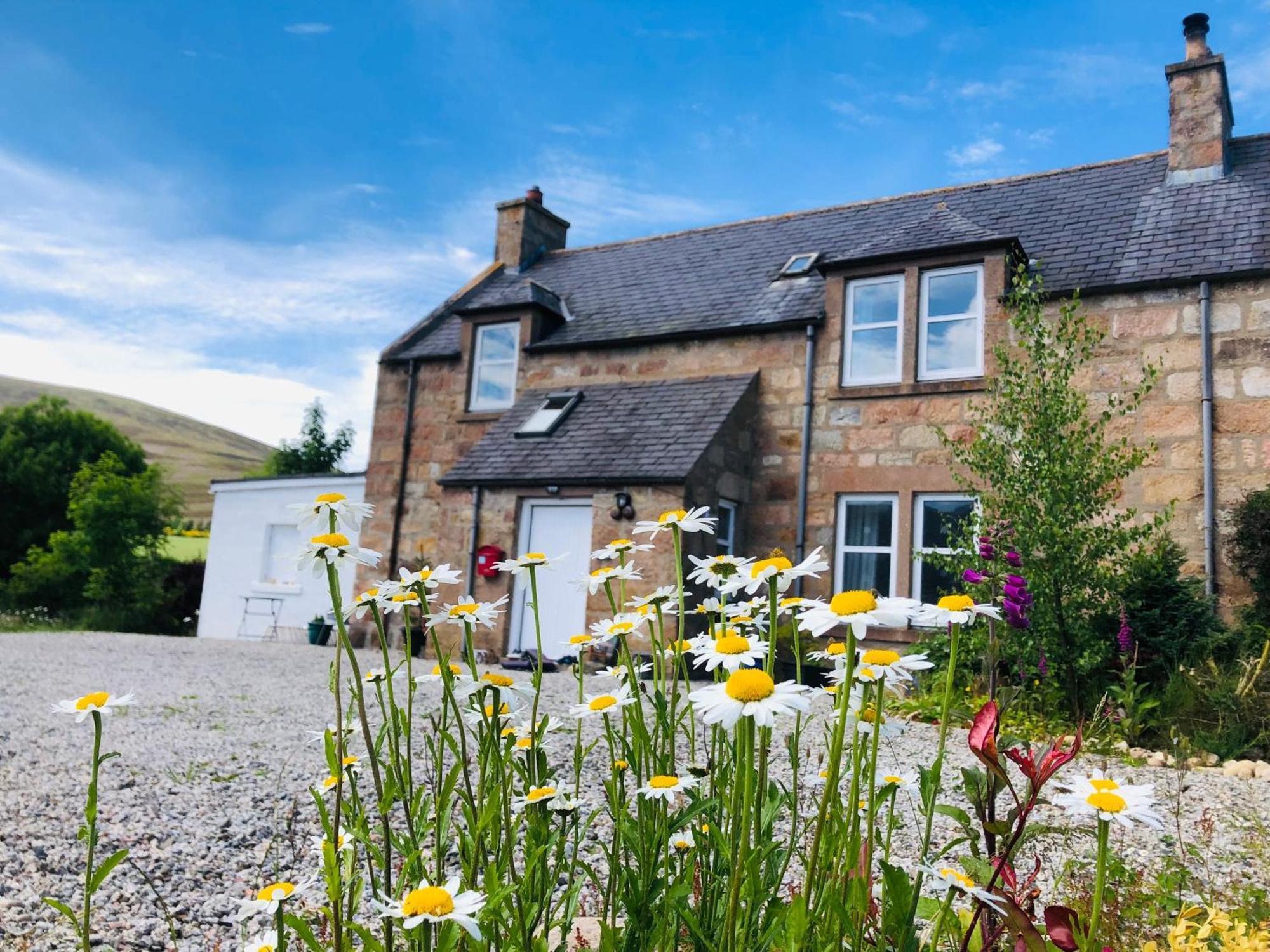 Lettoch Farm Bed & Breakfast ดัฟฟ์ทาวน์ ภายนอก รูปภาพ
